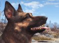 澳洲选10历史开奖记录168: Soon you will be able to get pets in Fallout 76